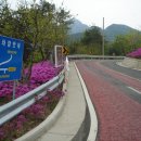 비슬산군립공원 티스토리