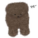 후크전자담배진해 네이버블로그