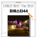 솔롱고 편의점 | 전주 여행 중/대형견 동반 가능 자쿠지 풀빌라 피에스타44