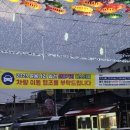 2025 선등거리페스티벌(차없는거리) 이미지