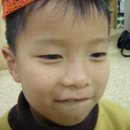태현상회 Daum카페