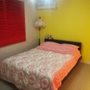 숲속의호수 이미지