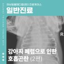 화도동물병원 이미지