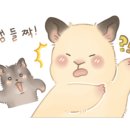 운봉정육식당 이미지