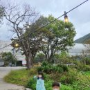 바둑이농장 이미지