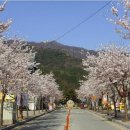 양주산악연맹 4월7일 정기산행 이미지