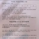 피터팬승마캠프 | 국비지원사업 학생승마체험 상세후기 (ft. 승마복장 어린이승마장갑)
