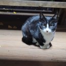 왕피천힐링팜 이미지