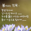 *청산산우회 조은친구들* 이미지