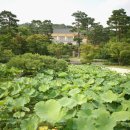 대경직업기술학원 네이버블로그