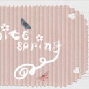 화이트 스프링(WHITE SPRING) 이미지