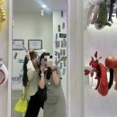 꿀 코인노래연습장 이미지