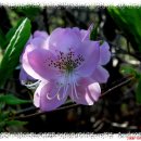 남양목장 이미지