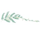 중산식스틴골프 이미지