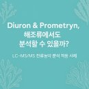 메트린 이미지