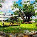 곡성-127 이미지