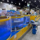 탐나종합어시장(난곡사거리점) | 대방어철 방어회포장, 탐나종합어시장 난곡사거리점