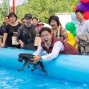 댕댕이네 이미지