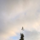 배춘마을회관 이미지