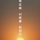 SAC ON SCREEN 굿모닝 독도 이미지