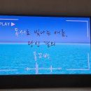 [연수] 2024 물꼬방 여름연수 후기 : 빛나도록 행복했던 여름
