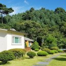 석장골여행 이미지