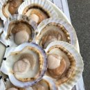 대보포차 이미지