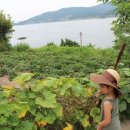 늑도민박 이미지