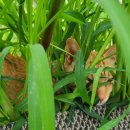 율곡동물병원 이미지