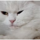 오메가미용실 이미지