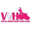 아이페티앙 | 까르페티앙 강아지 노즈워크 담요 추천 !! 분리불안 해소