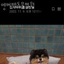 에버펫 동물병원 이미지