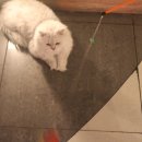 마리노래연습장 이미지