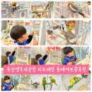 리프패럿 롯데마트 광복점 이미지