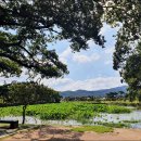 남산약수터 이미지