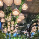 옥계리 원감다리 옆 | 2025.10 아기다리고 고기다리던 황금연휴 순삭이였슨