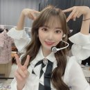 사쿠라