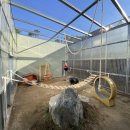 서울시야생동물센터 이미지