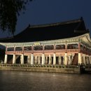 2025 경복궁 야간개장 우천에도 불구하고 다녀온 후기 아름다운 야간풍경 그리고 우천행사