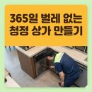 국민건강보험공단 해운대지사 | 부산 해운대구 우동 바퀴벌레 퇴치 하나방역, 365일 벌레 없는 청정 상가 만들기