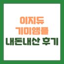 디앤컴퍼니 | 이지듀 기미앰플 내돈내산 사용후기