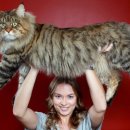 쿤이네집 이미지