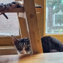 눈에 염증이 가라앉고 있는 태희 이미지