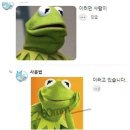 테이키쿠키 - 3499 | 테이키쿠키