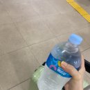 제 2의 고향이라고 마음대로 정해두었지, 제주도는🩵 - 1.