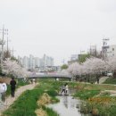 원성천 이미지