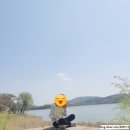 석현로 38 | 동궁원, 월정교, 대릉원, 첨성대, 동궁과 월지, 금장대, 화랑마을 수의지폭포 뚜벅이로 다녀온 여행후기