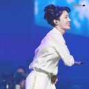 홉아트