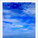 우체국앞 그집 이미지