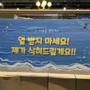 롯데하이마트(주) 수진지점 | 발간이 늦은 2025년 여름 이야기